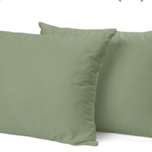 The Wood White Microfiber Light Green Soft Pillows Pack Of 2