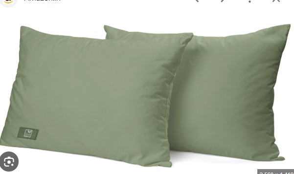 The Wood White Microfiber Light Green Soft Pillows Pack Of 2