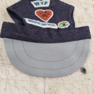 Blue Color Denim Dog Cap
