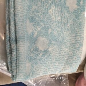Woman Blue Printed Saree
