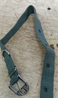 Dog Heavy Duty Nylon Pet Collar With Secure Buckle Grey