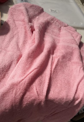 Home Expressions Hand Towel Lt Pink Pack Of 2