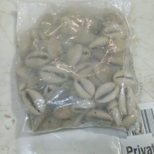 Cowrie Shells