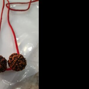 Nepal Rudraksha Round Shape Brown Pendent