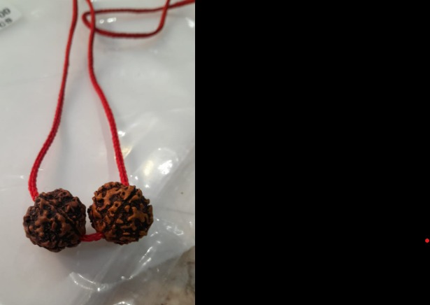 Nepal Rudraksha Round Shape Brown Pendent
