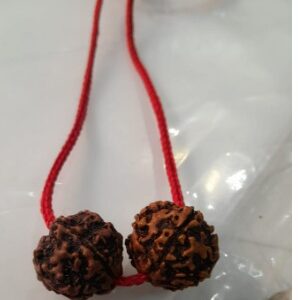 Nepal Rudraksha Round Shape 2 Pcs Brown