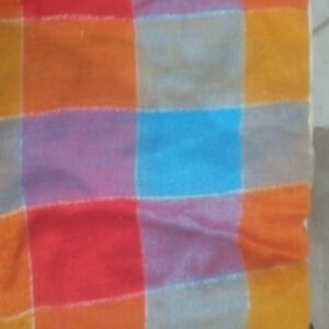 Women Pure Cotton Madras Checks Saree Multicolour