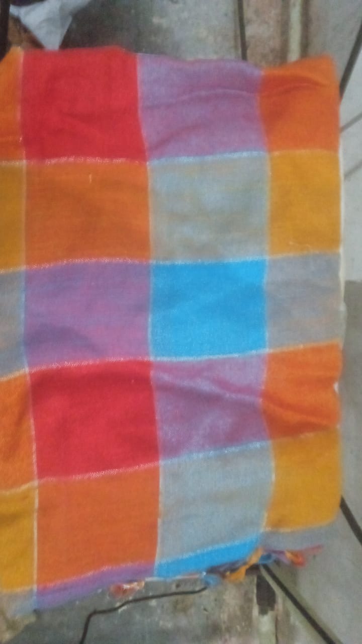 Women Pure Cotton Madras Checks Saree Multicolour
