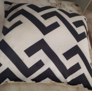 Black And White Pillow