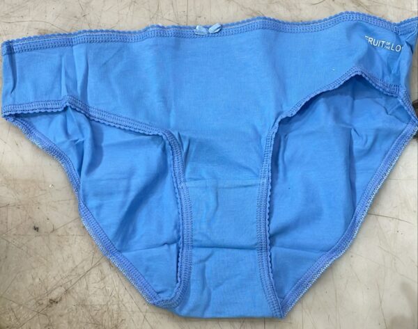 Fruit Of The Loom Women Sky Color Panty Size Xxl