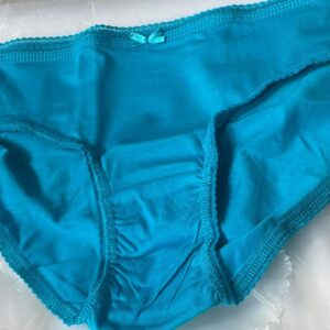 Fruit Of The Loom Women Sky Color Panty Size L