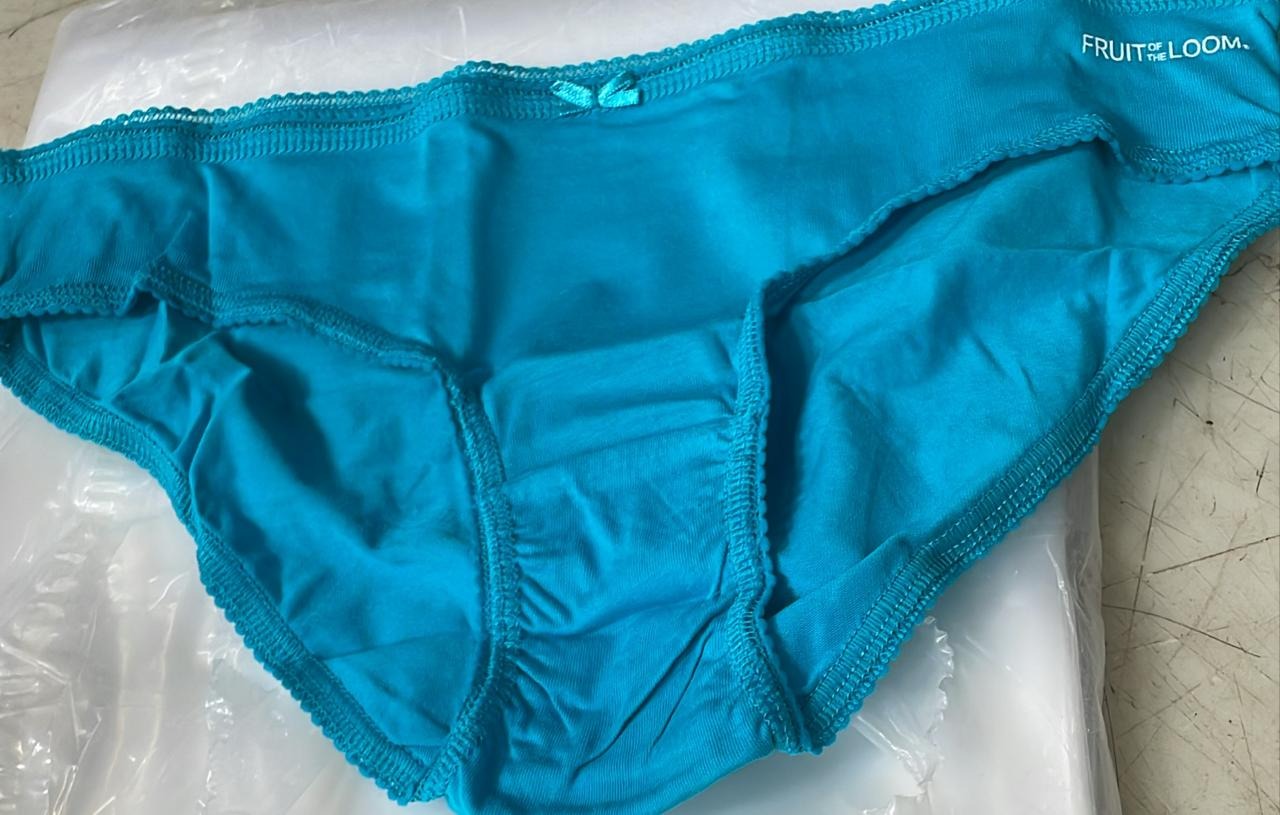 Fruit Of The Loom Women Sky Color Panty Size L