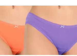 Fruit Of The Loom Lavender And Orange Panty Size M Pack Of 2