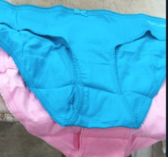 Fruit Of The Loom Sky Blue And Baby Pink Panty For Women Size L Pack Of 2
