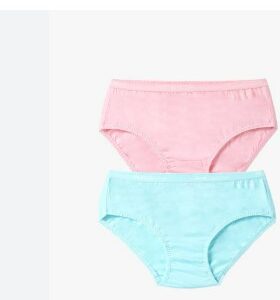 Fruit Of The Loom Pink And Sky Blue Panty For Women Size Xl Pack Of 2