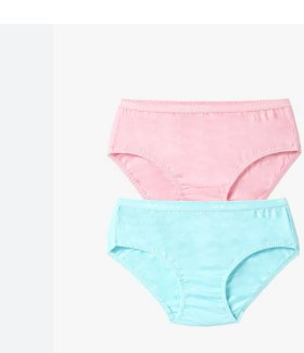 Fruit Of The Loom Pink And Sky Blue Panty For Women Size Xl Pack Of 2