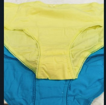 Fruit Of The Loom Lemon And Sky Blue Colour Panty For Women Size Xl Pack Of 2