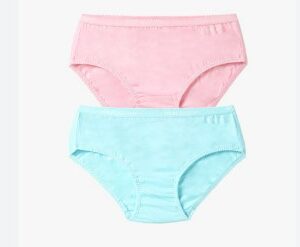 Fruit Of The Loom Sky Blue And Pink Panty For Women Size L Pack Of 2
