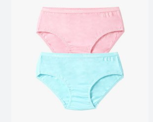 Fruit Of The Loom Sky Blue And Pink Panty For Women Size L Pack Of 2