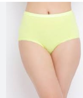 Fruit Of The Loom Women Yellow Color Briefs Size L