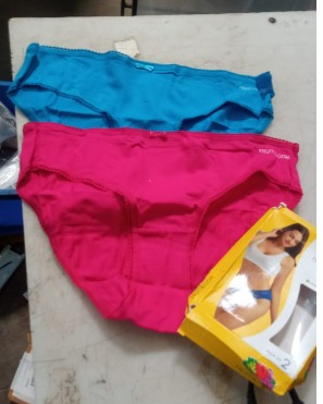 Fruit Of The Loom Womens Panty Sky Blue And Rani Pink Pack Of 2 Size L