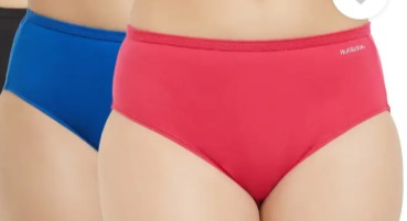 Fruit Of The Loom Pink And Blue Panty Size M For Women Pack Of 2