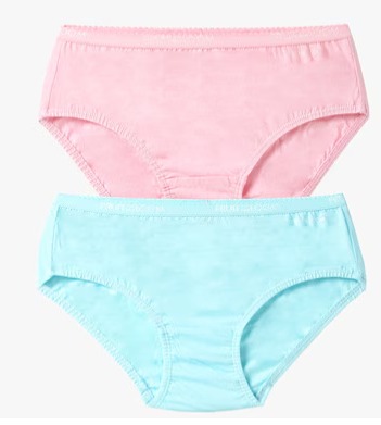 Fruit Of The Loom Sky Blue And Pink Panty Size M For Women Pack Of 2