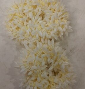Simple Bun Gajra For Women White Pack Of 2