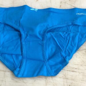 Fruit Of The Loom Sky Color Pantie For Women Size Xxl