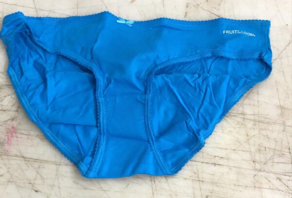 Fruit Of The Loom Sky Color Pantie For Women Size Xxl