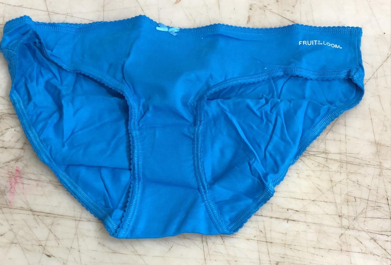 Fruit Of The Loom Sky Color Pantie For Women Size Xxl