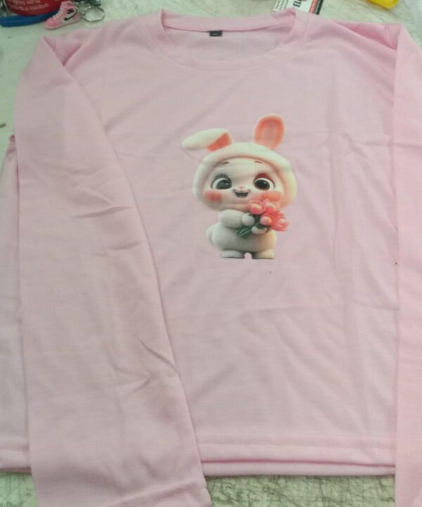 Women Pink Color Full Sleeve Crop Top Size L