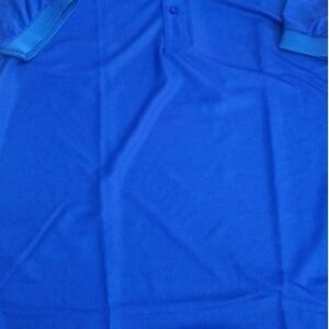 Men Blue Colour T Shirt Size 38