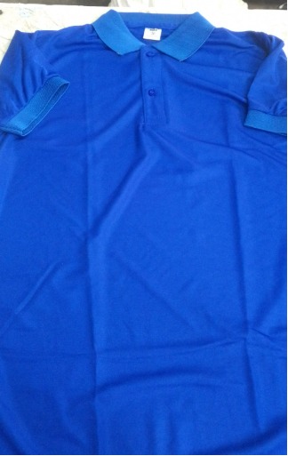 Men Blue Colour T Shirt Size 38