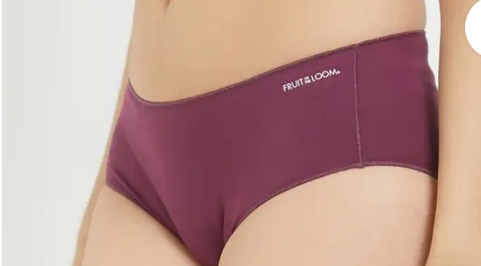 Fruit Of The Loom Panty Purple Colour For Women Size Xl