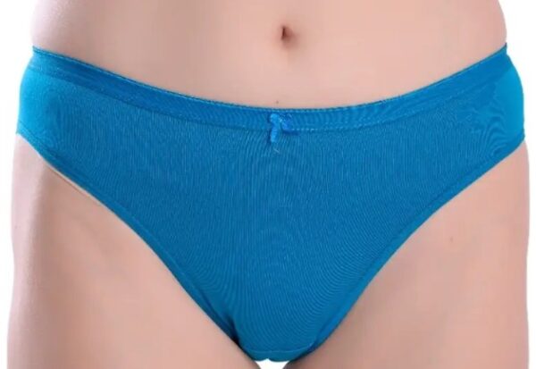 Women Panty Sky Colour Size L