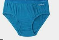 Fruit Of The Loom Panty Blue Colour For Women Size Xl