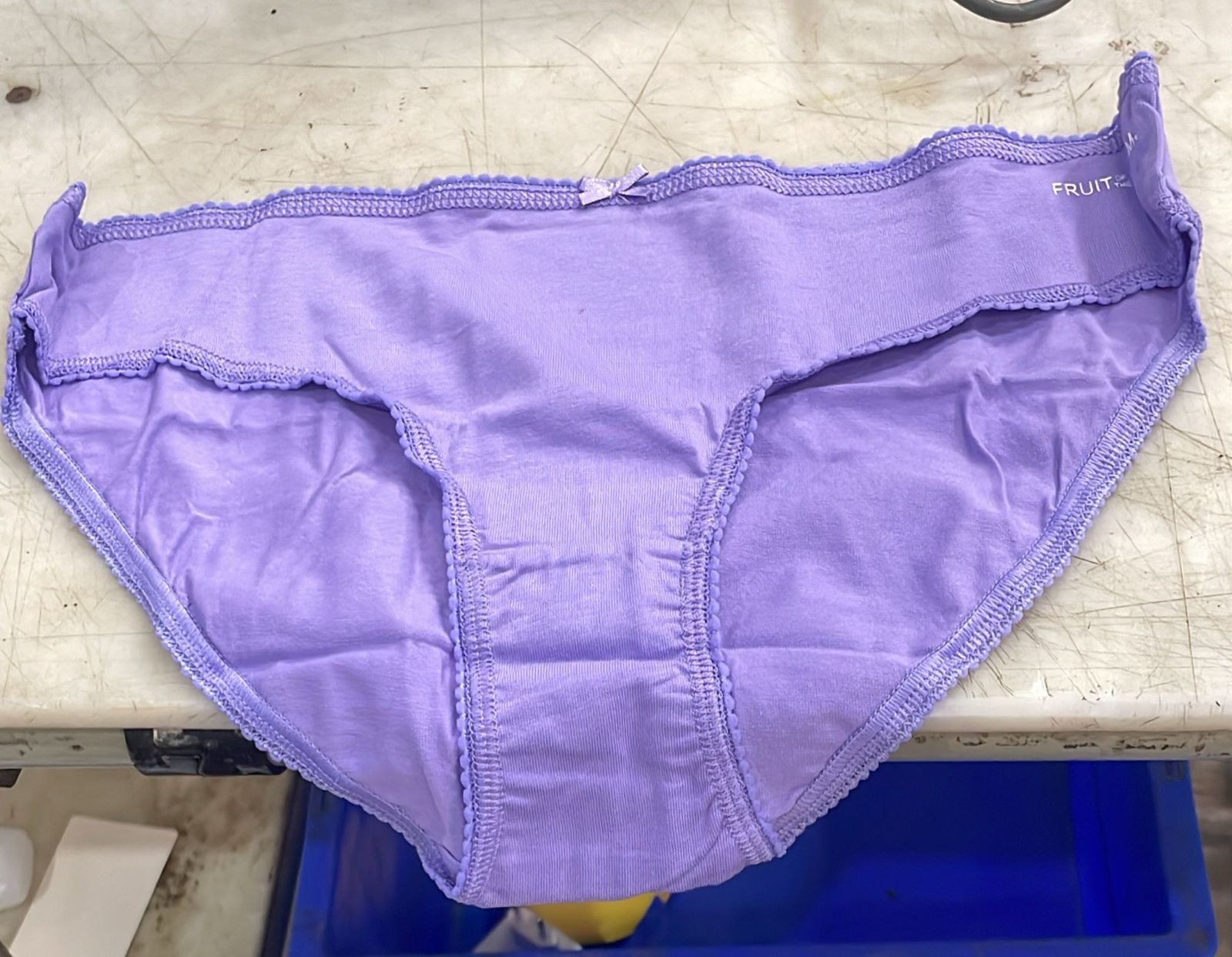 Fruit Of The Loom Women Lavender Color Panty Size M