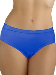 Fruit Of The Loom Women Panty Blue Colour Size Xl