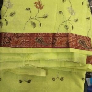 Woman Light Green Saree