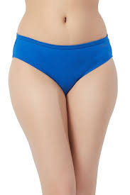 Fruit Of The Loom Women Blue Panty Size L