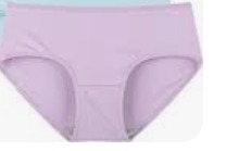 Fruit Of The Loom Women Purple Panty Size M