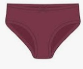 Fruit Of The Loom Women Purple Colour Panty Size M
