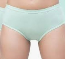 Fruit Of The Loom Women Green Colour Panty Size L