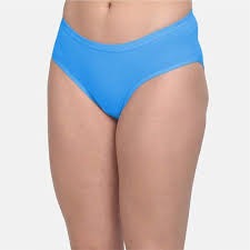Fruit Of The Loom Women Blue Colour Panty Size L