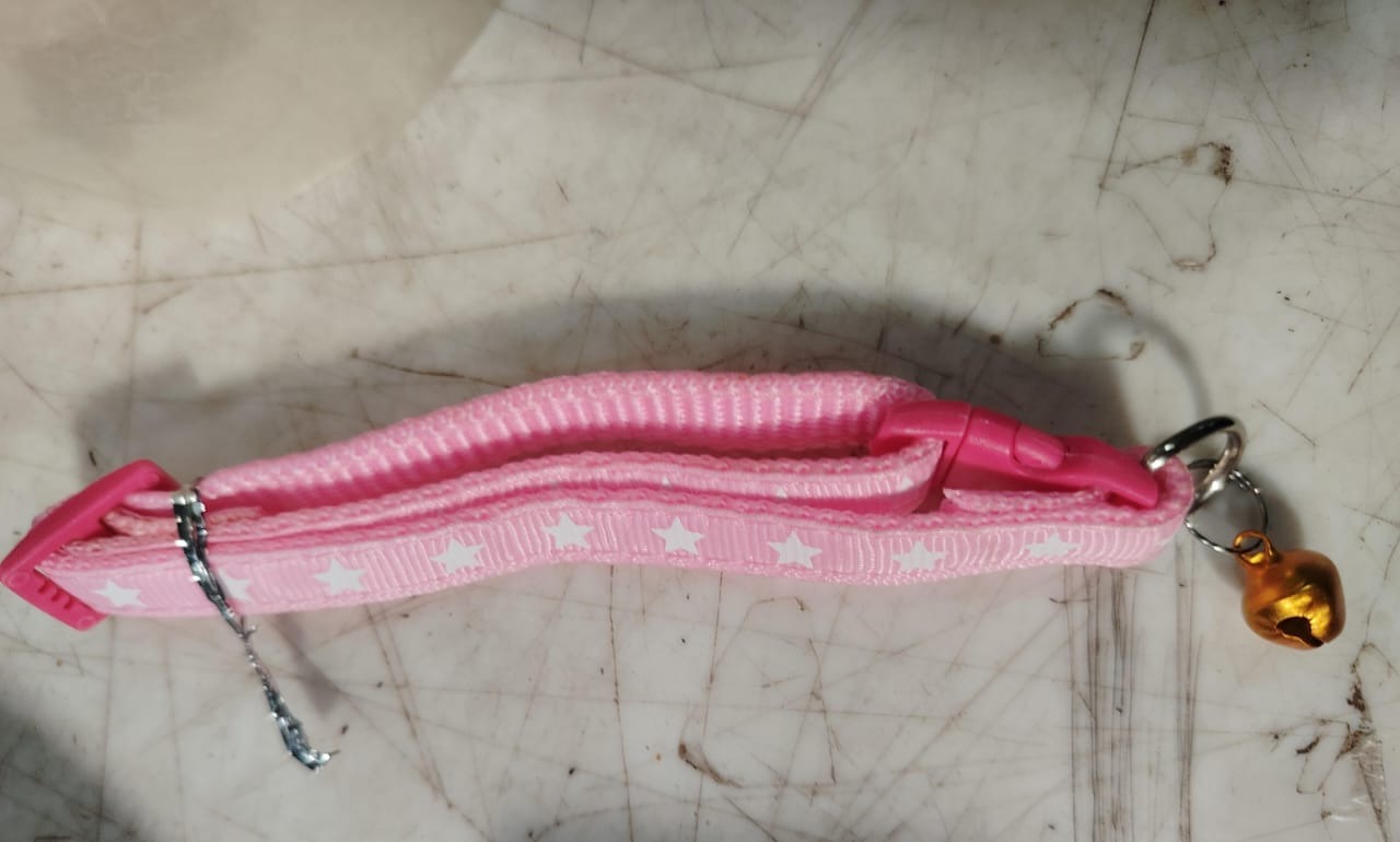 Baby Pink Pet Kitten Cat Safety Collar Belt Buckle Neck