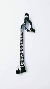 Chipmunk Cat Collars Black