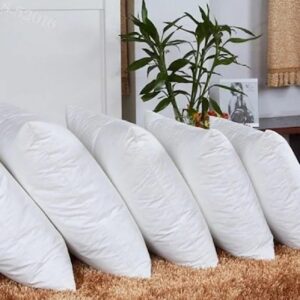 Sofa Pillow White Color 5N