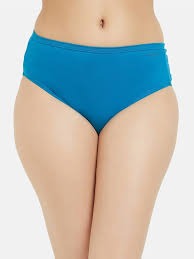 Fruit Of The Loom Women Blue Panty Size L