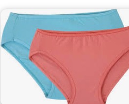 Fruit Of The Loom Womens Panty Pink And Sky Blue Color Pack Of 2 Size L